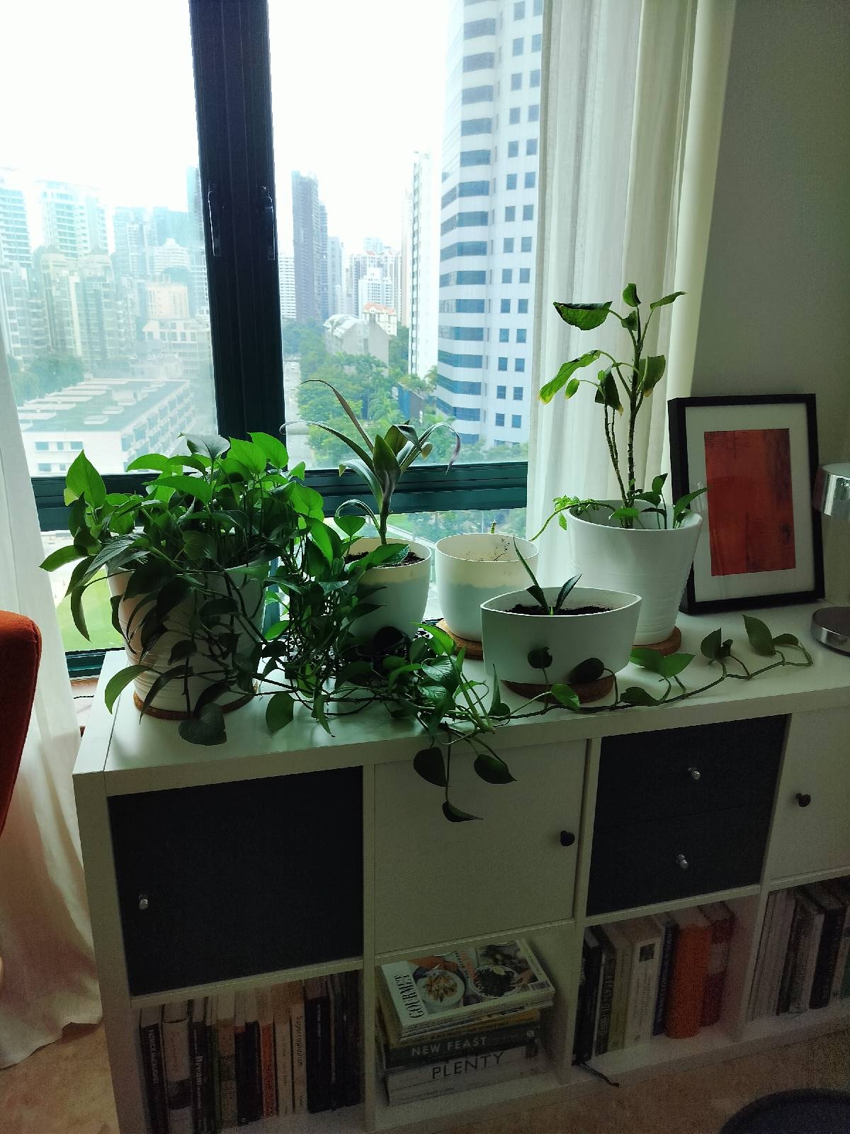JERVOIS JADE 15