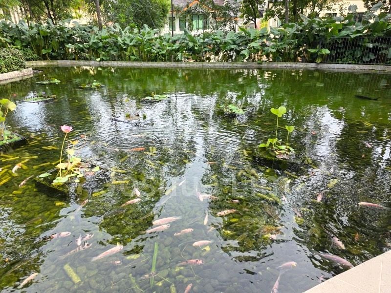 STIRLING RESIDENCES 13