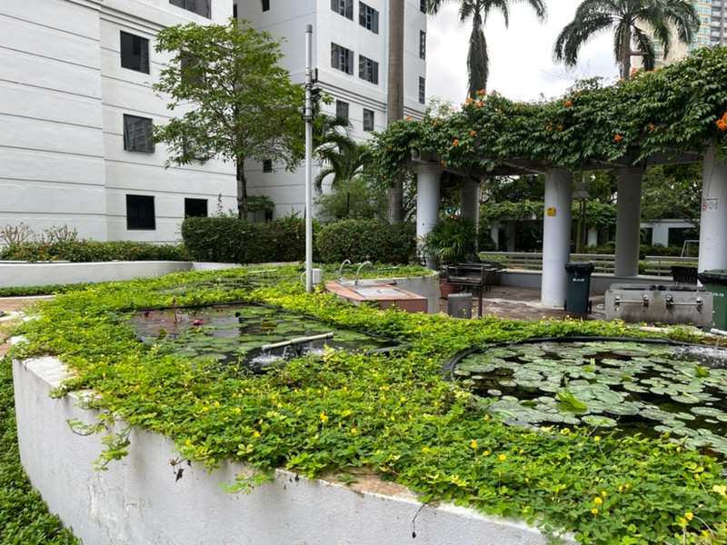 CENTRAL GREEN CONDOMINIUM 31