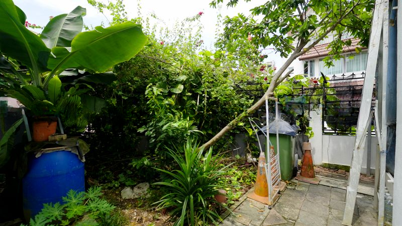 PRINCETON VALE 11