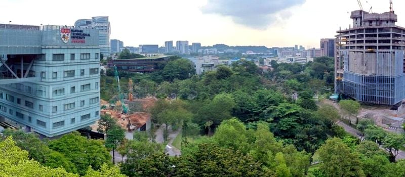 BLOSSOMS BY THE PARK 5