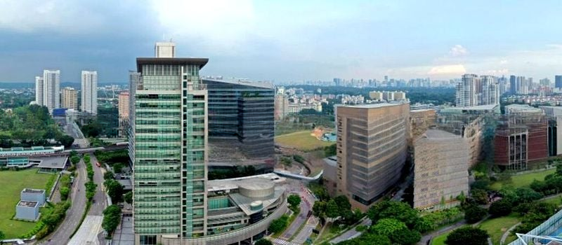 BLOSSOMS BY THE PARK 2