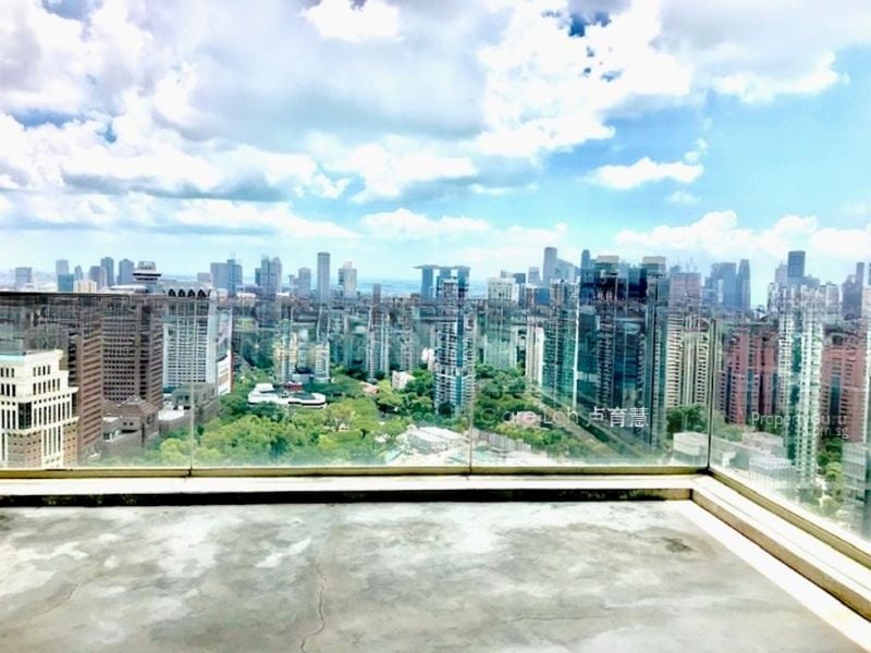 SKYLINE @ ORCHARD BOULEVARD 12