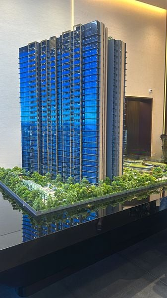 MEYER BLUE 1