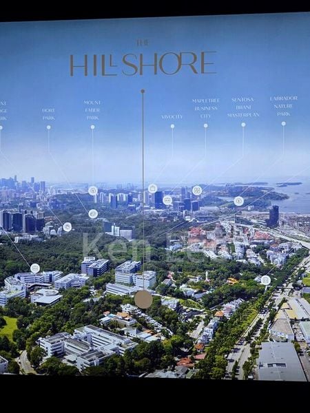 THE HILLSHORE 9