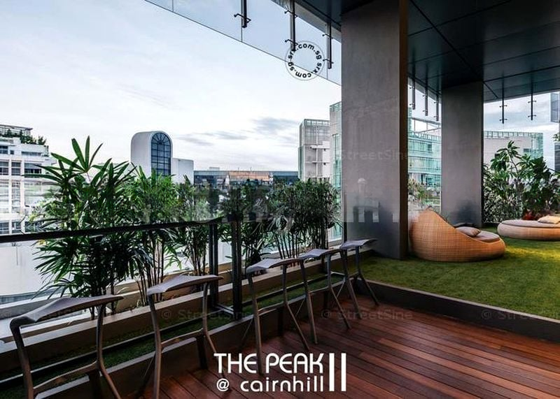 THE PEAK @ CAIRNHILL II 4