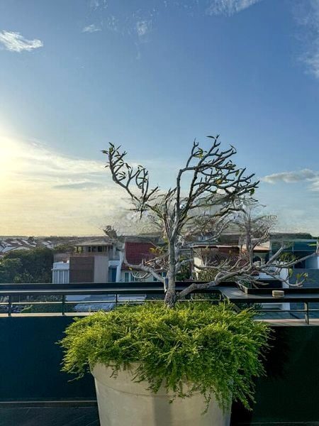 LANDED HOUSING DEVELOPMENT 12