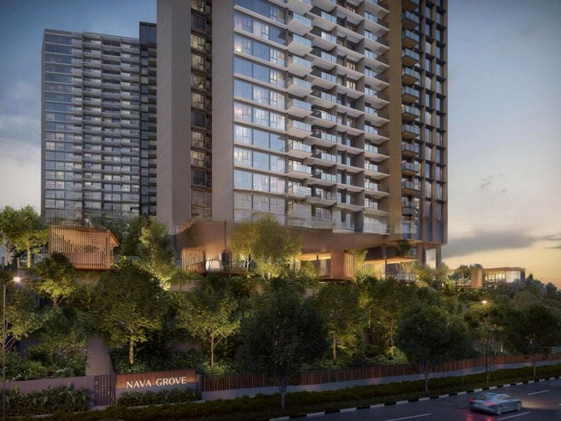 NAVA GROVE 12