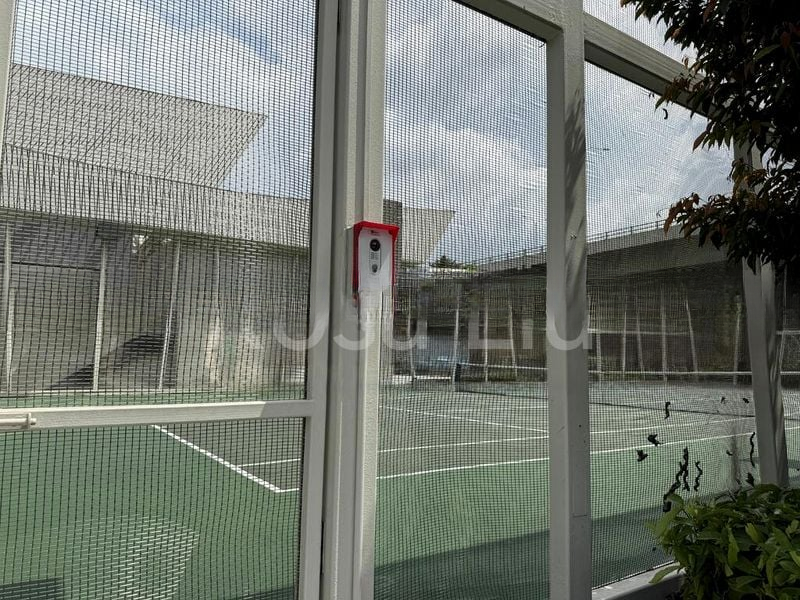 CORALS AT KEPPEL BAY 2