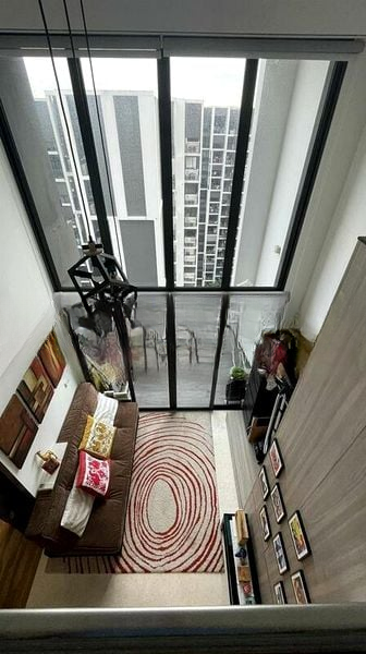 BOTANIQUE AT BARTLEY 2