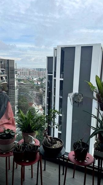 BOTANIQUE AT BARTLEY 9