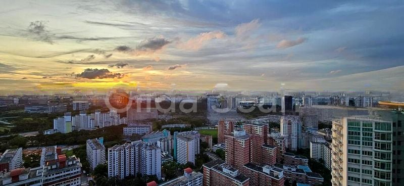 STIRLING RESIDENCES 13