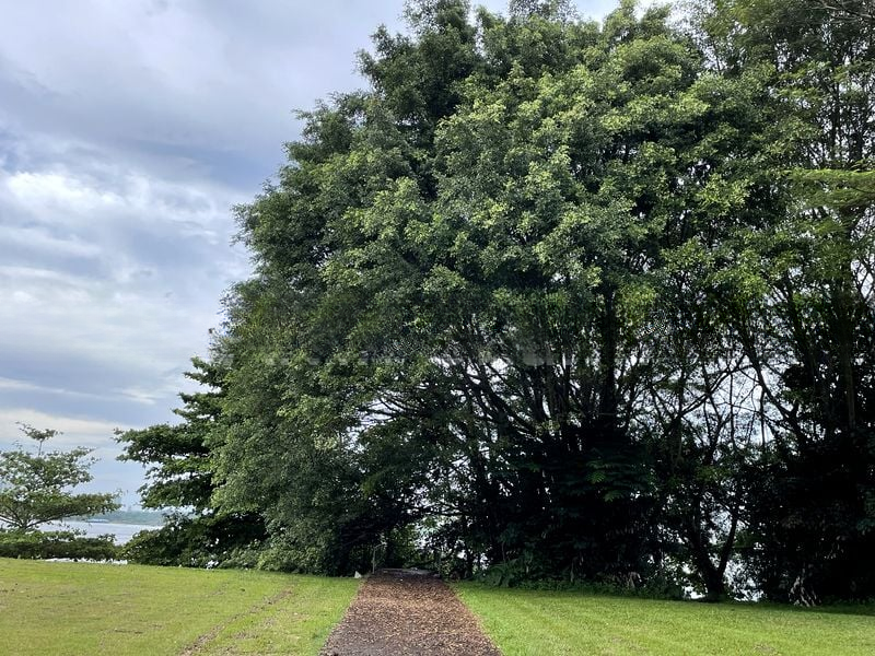 LANDED HOUSING DEVELOPMENT 10