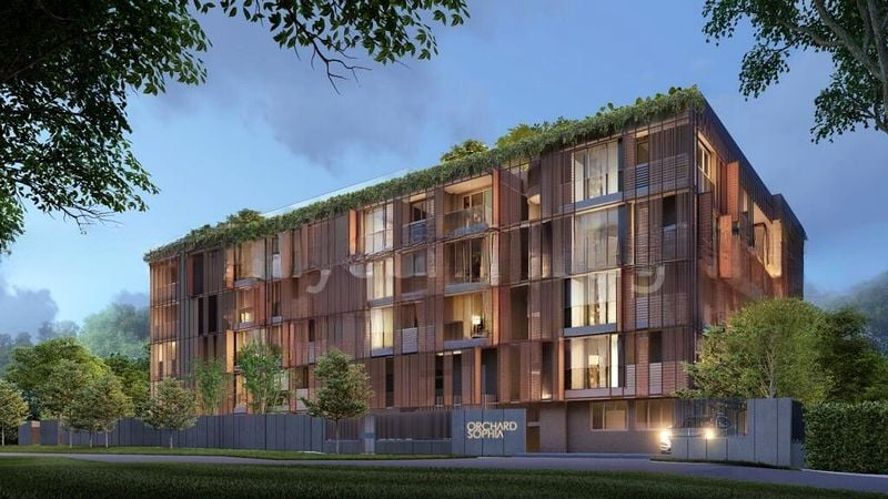 ORCHARD SOPHIA 5