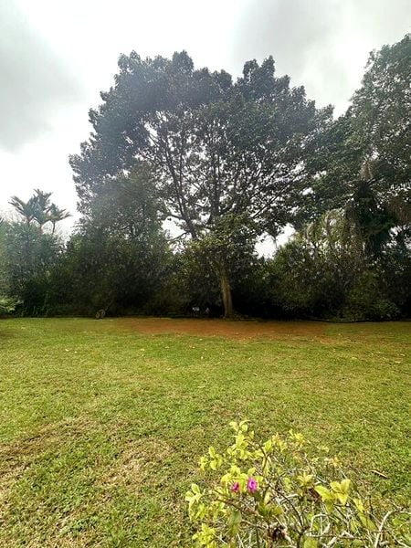 BIN TONG PARK 8