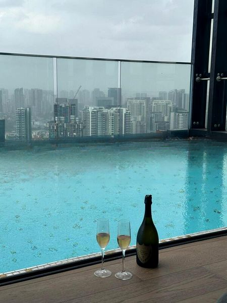 THE RITZ-CARLTON RESIDENCES SINGAPORE CAIRNHILL 5