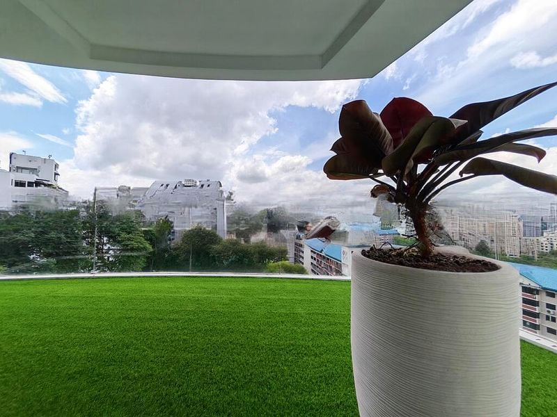 LUSH ON HOLLAND HILL 2