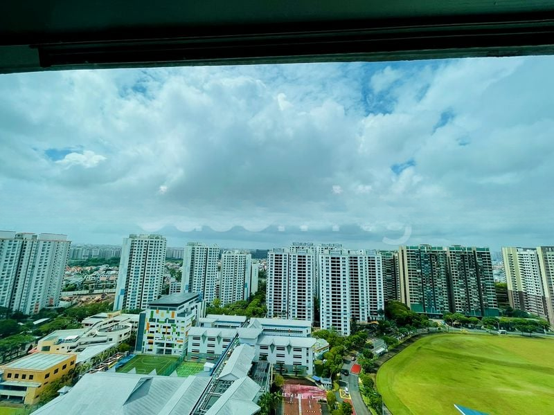 FERNVALE RD 6