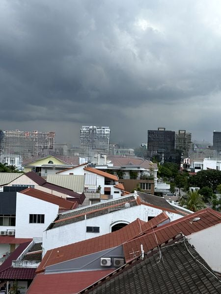 PALMERA EAST 8