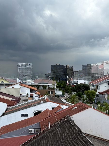 PALMERA EAST 11