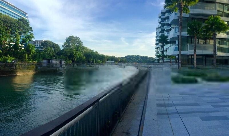 CORALS AT KEPPEL BAY 8