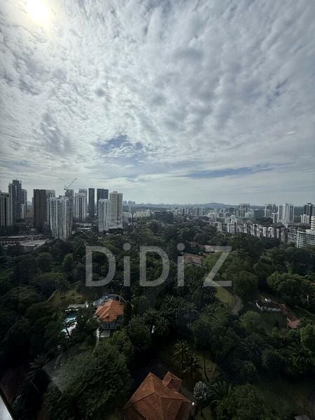 REIGNWOOD HAMILTON SCOTTS 12