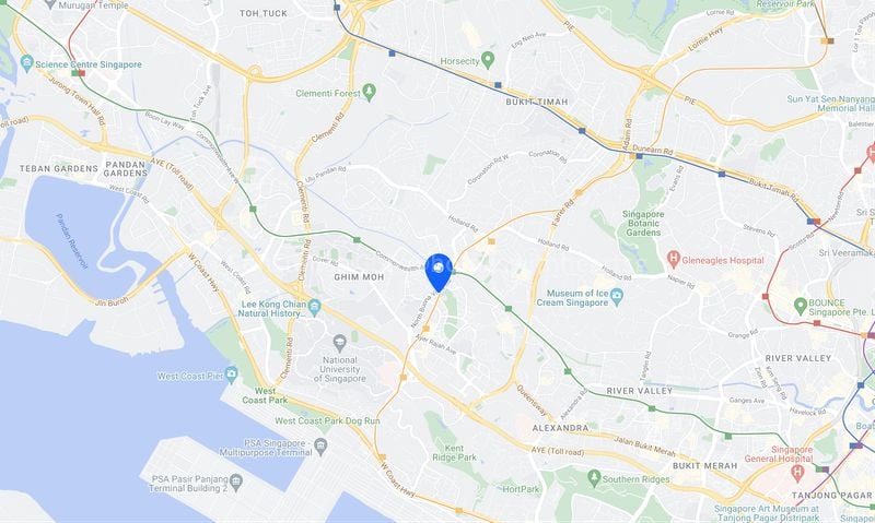 BLOSSOMS BY THE PARK 7