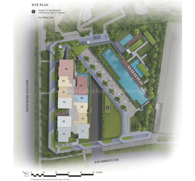 BLOSSOMS BY THE PARK 15