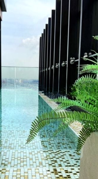 THE RITZ-CARLTON RESIDENCES SINGAPORE CAIRNHILL 9