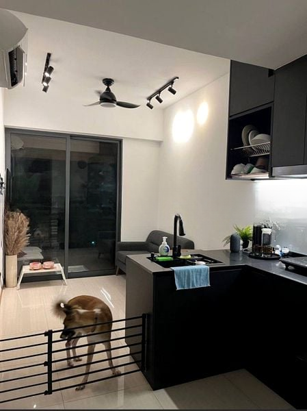 RESIDENCES 88 1