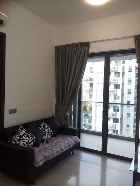 LAUREL TREE 8