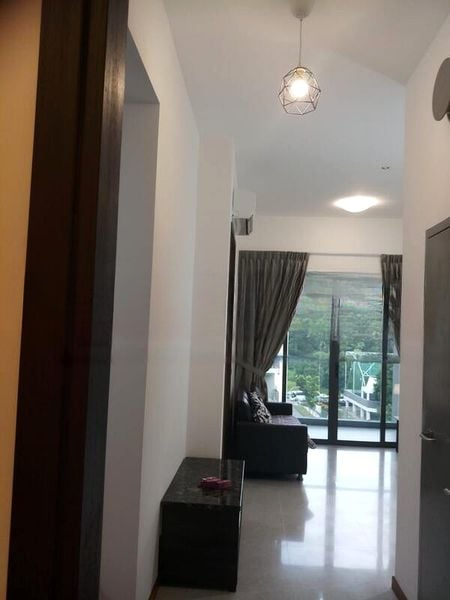 LAUREL TREE 11