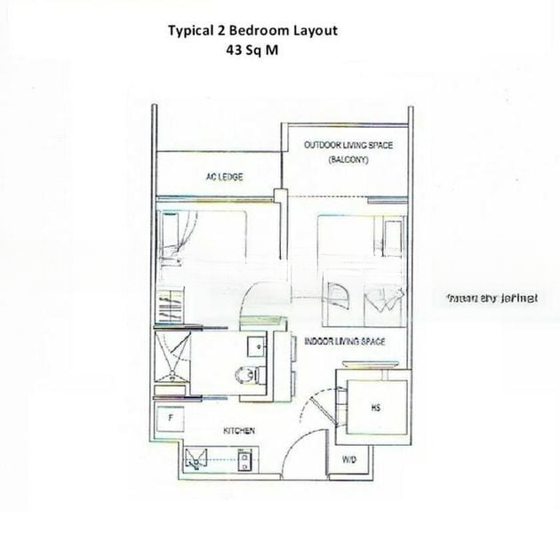 LAUREL TREE 12