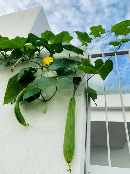 KINGSFORD . HILLVIEW PEAK 5