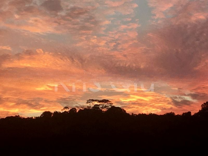 KINGSFORD . HILLVIEW PEAK 7