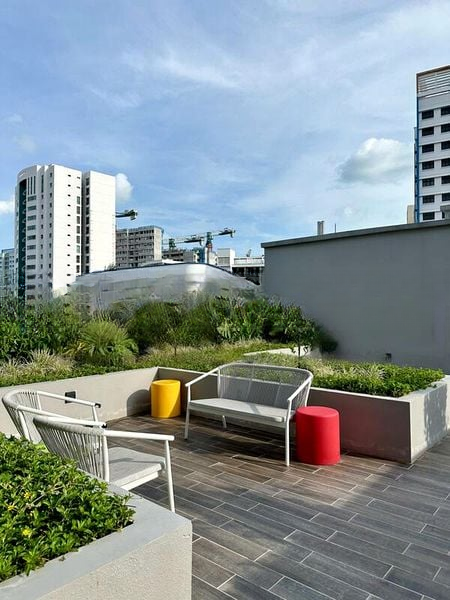 NOMA 2