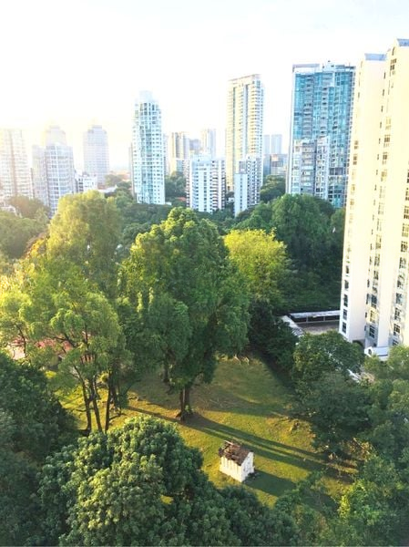 CITY SUITES 5