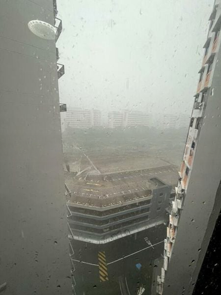 BEDOK RESERVOIR VIEW