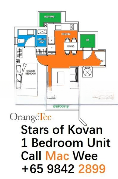 STARS OF KOVAN 5