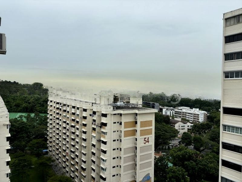 TELOK BLANGAH DR 2