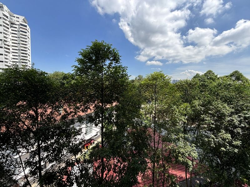 ONE TREE HILL RESIDENCE 6