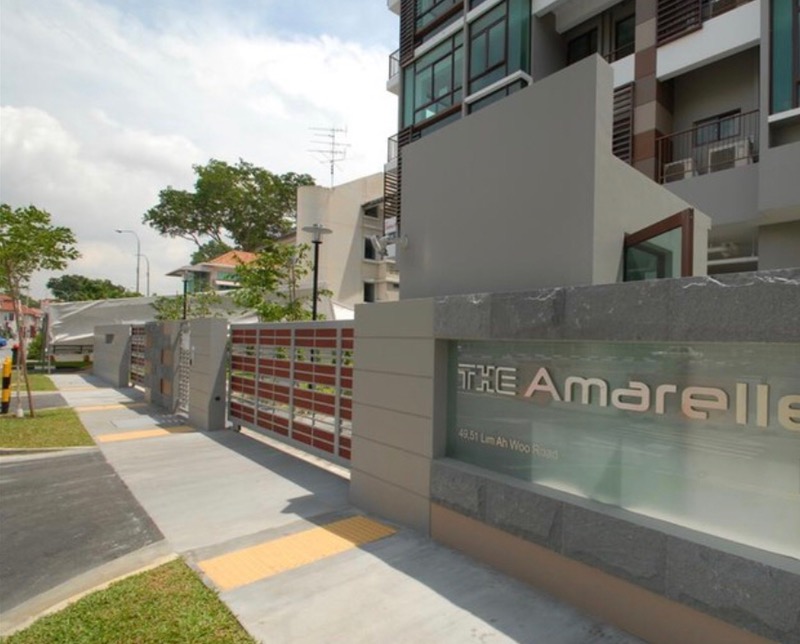 THE AMARELLE 9