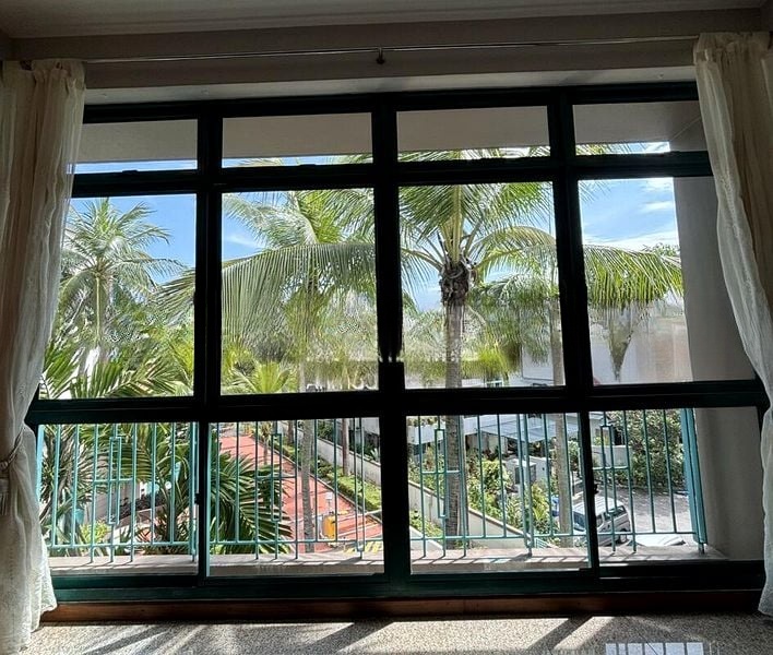 PALMWOODS 13