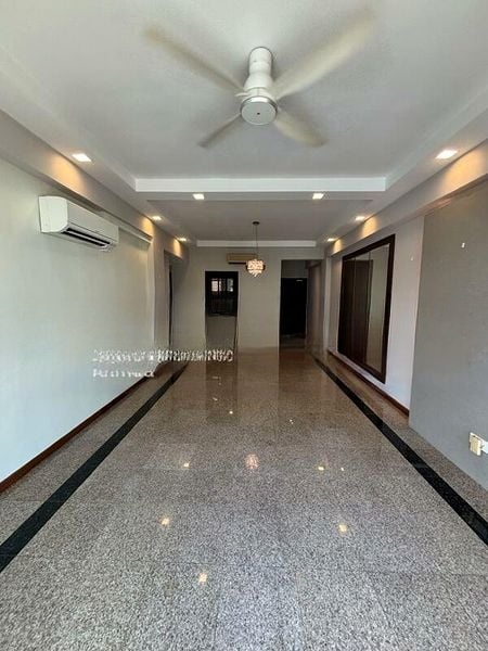 PALMWOODS 11