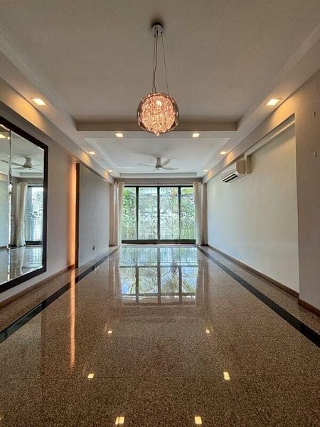 PALMWOODS 12