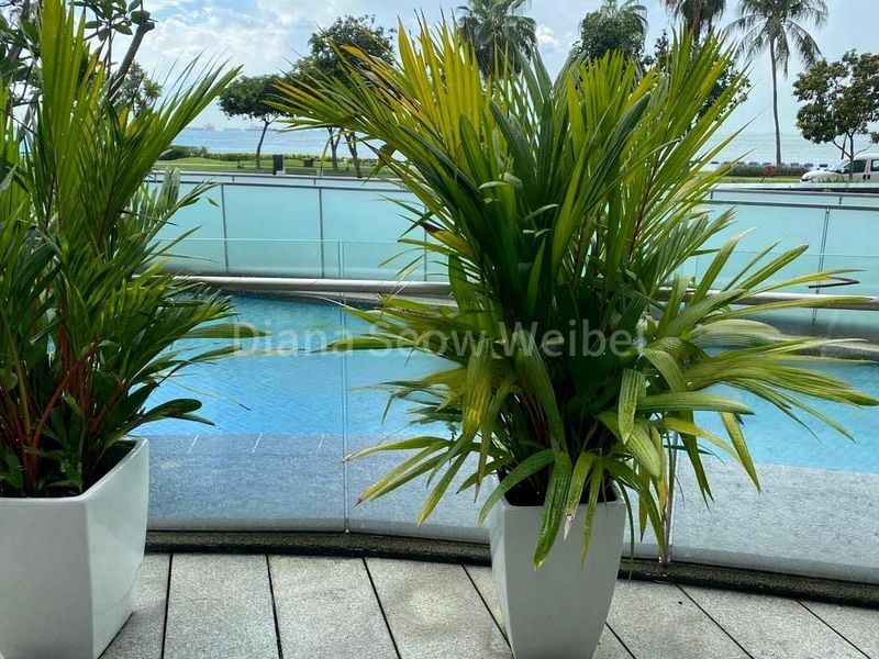 THE COAST AT SENTOSA COVE 2