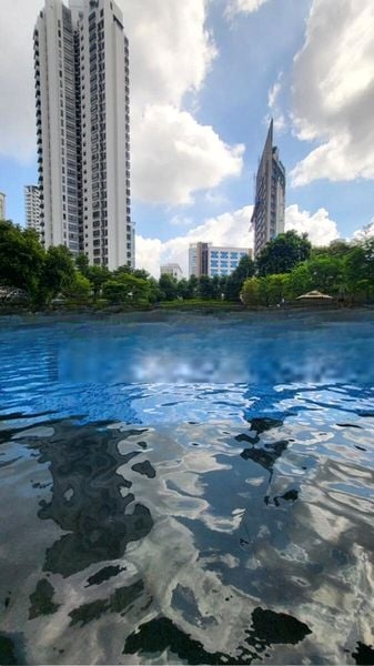 MARTIN PLACE RESIDENCES 15