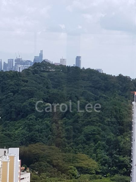 SKYLINE RESIDENCES 11