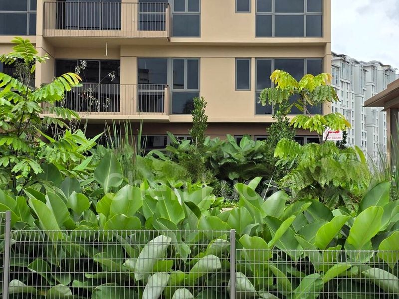 THE WATERGARDENS AT CANBERRA 5