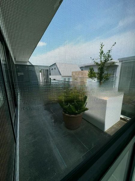 BRADDELL HEIGHTS ESTATE